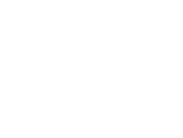 长沙市天禧烟花鞭炮有限公司