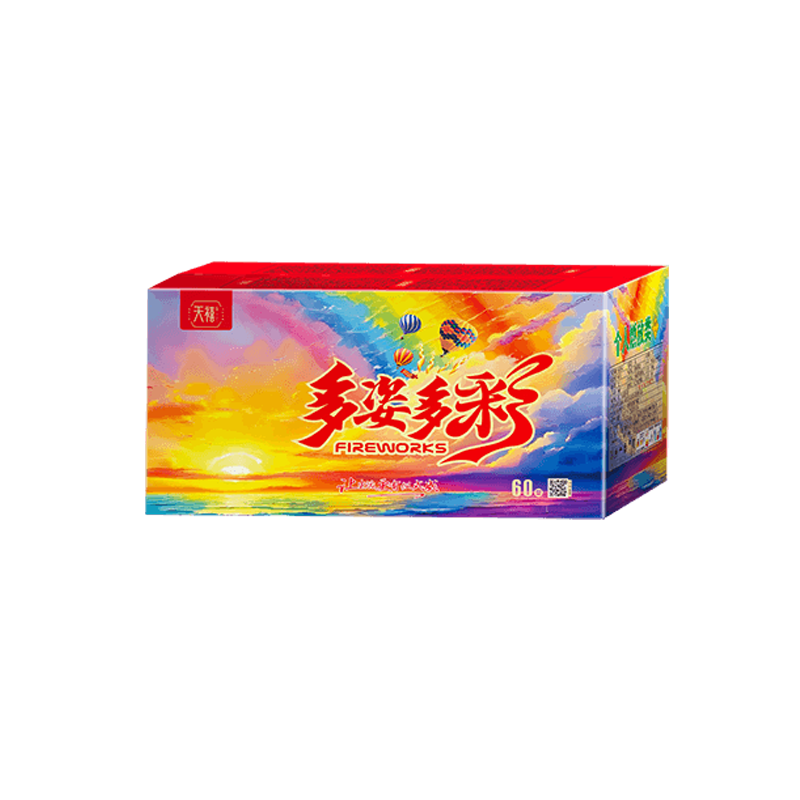 多姿多彩 60型